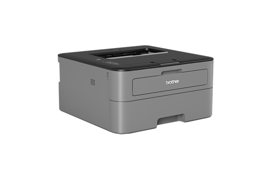 image deBrother HL-L2300D