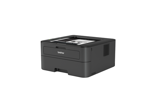 image deBrother HL-L2365DW